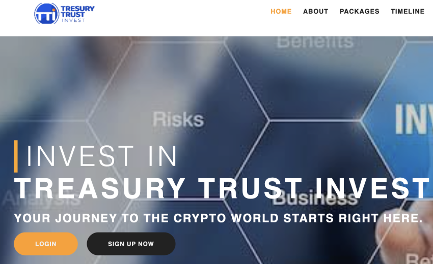 A Detailed Scam Review of Treasurytrust-enterprise.org